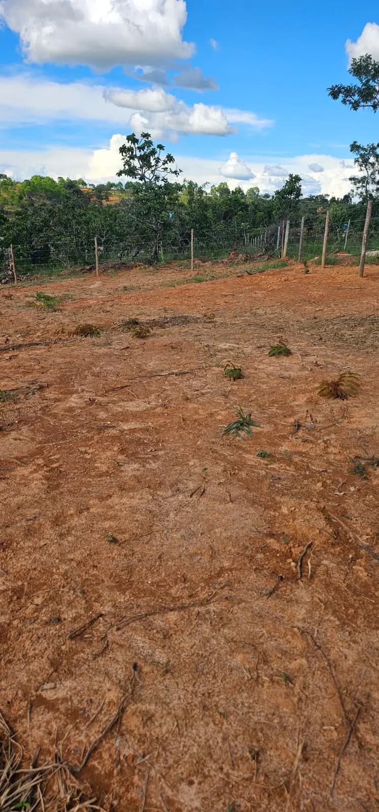 Lote em Estrela Dalva