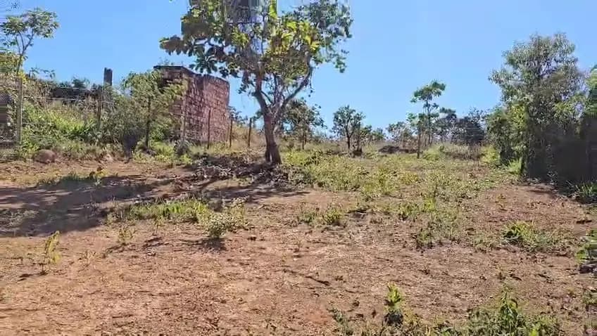 Lote em Estrela Dalva, terreno limpo com árvore e vegetação nativa ao redor