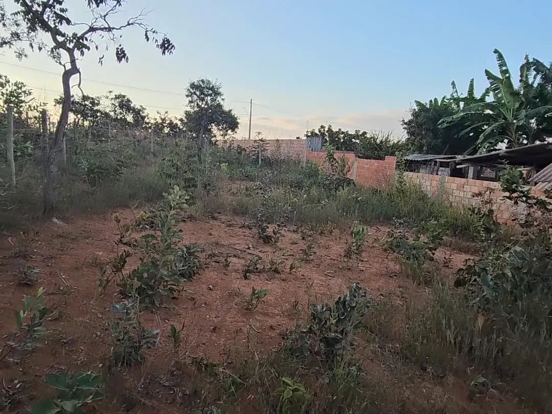 Lote em Estrela Dalva