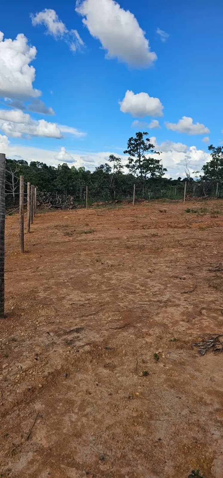 Lote cercado e limpo em Estrela Dalva, pronto para construir